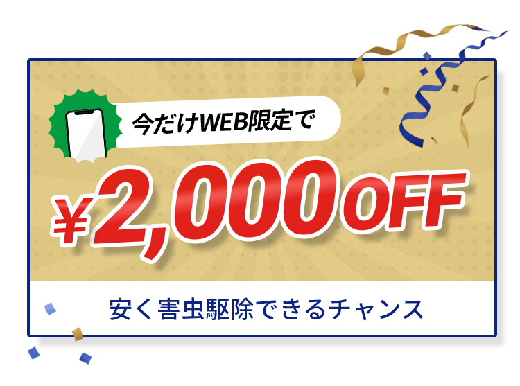 今だけWEB限定で2,000円OFF
