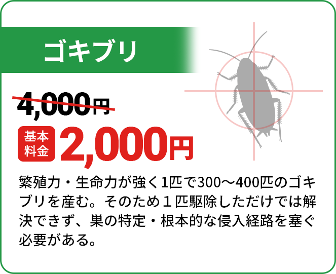 ゴキブリ基本料金4,000円～→2,000円繁殖力・生命力が強く1匹で300～400匹のゴキブリを産む。そのため１匹駆除しただけでは解決できず、巣の特定・根本的な侵入経路を塞ぐ必要がある。